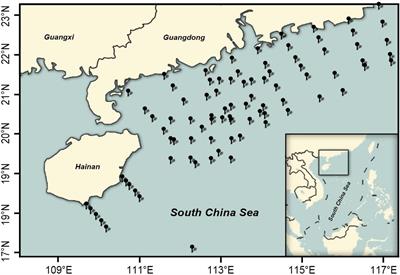 Molecular and Morphological Identification and Seasonal Distribution of Eggs of Four Decapterus Fish Species in the Northern South China Sea: A Key to Conservation of Spawning Ground